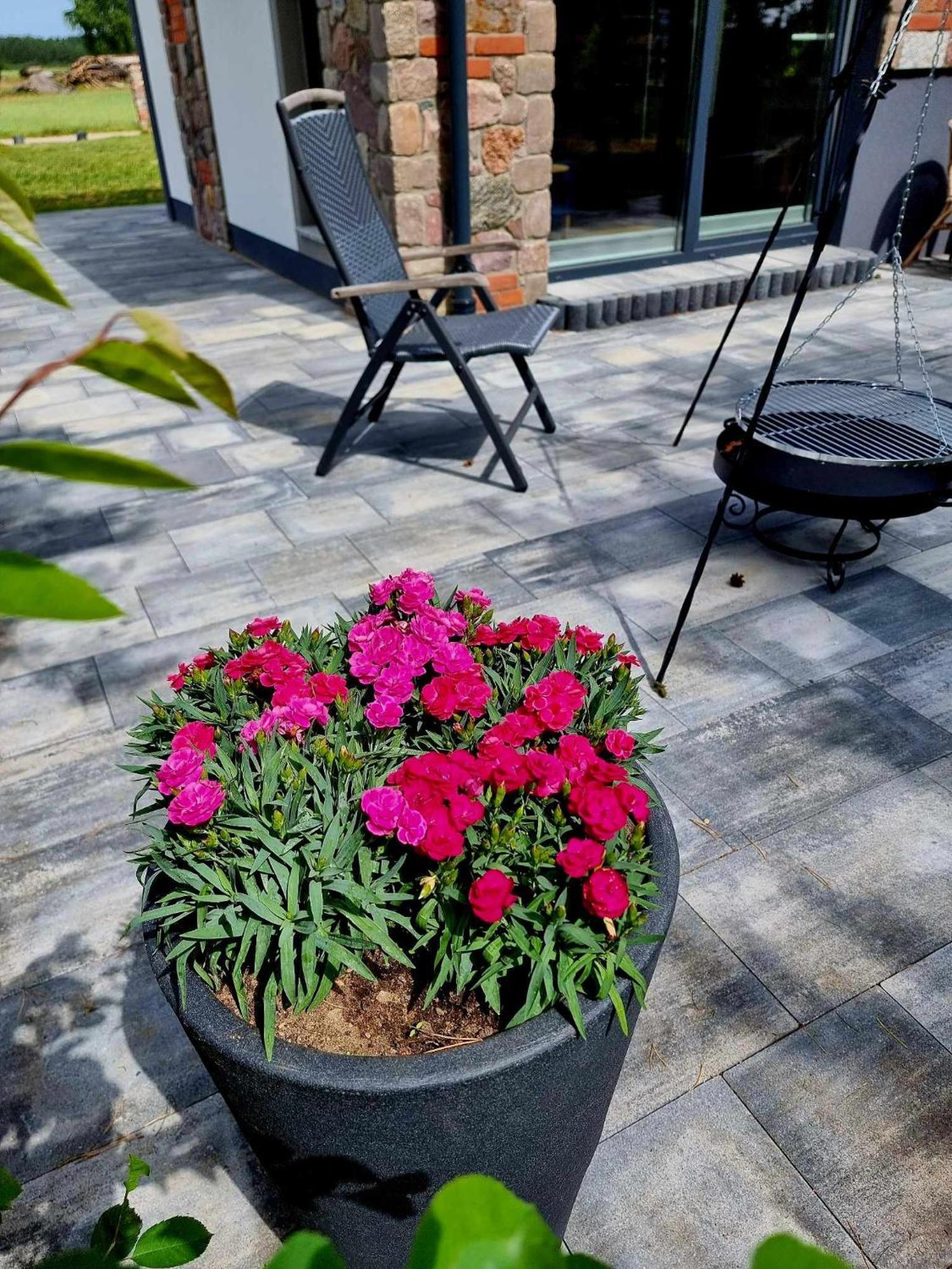Holiday home De Janauis